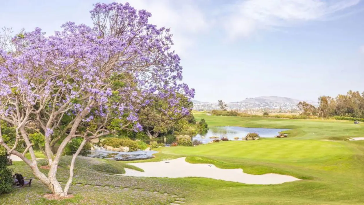 Park Hyatt Aviara Resort golf